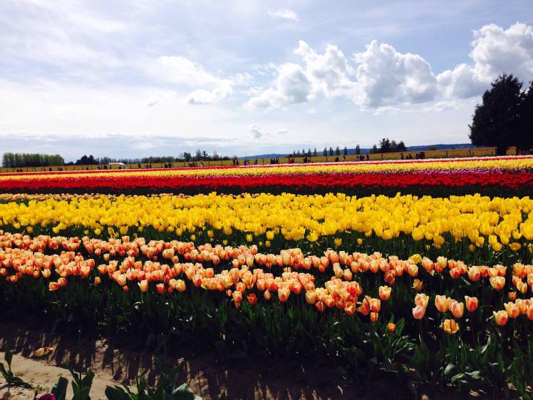 10257234_10204143994745529_7892655717864096134_o